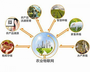 智慧农业简要分析