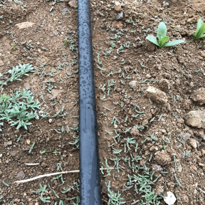 节水灌溉的意义及方法