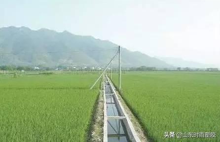 为什么实施高标准农田