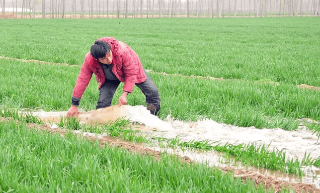 种植革命，水肥一体化技术改变农业生产模式