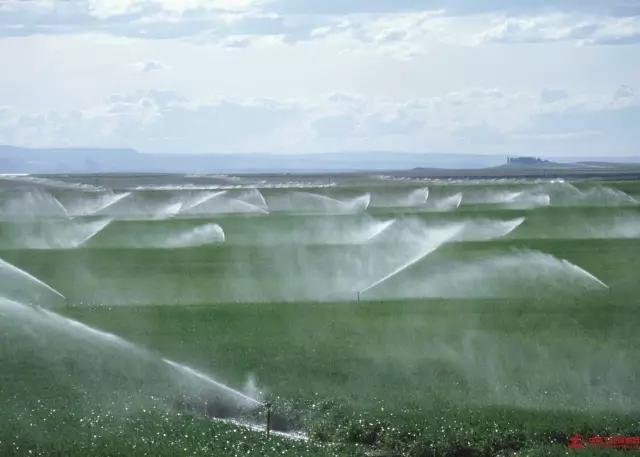 哪种节水灌溉方式最好？滴管、喷灌……选择适合的才是最好的