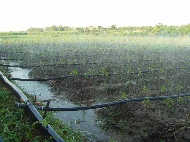 哪种节水灌溉方式最好？滴管、喷灌……选择适合的才是最好的