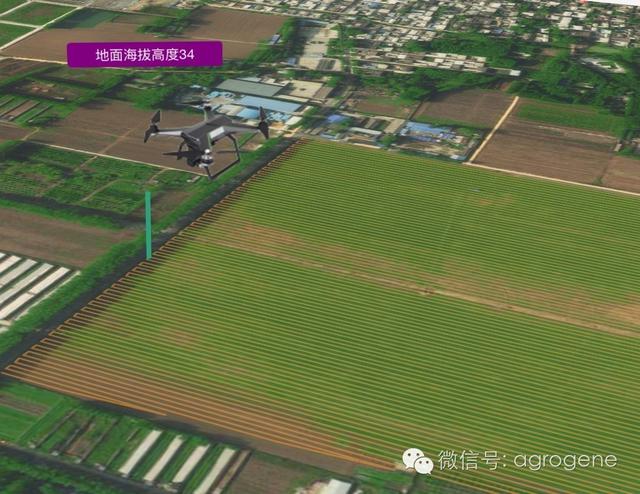 中国农业遥感大数据怎么做？