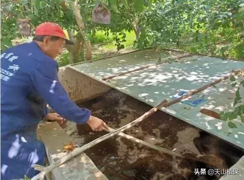 简易水肥一体化施肥，果树追肥的新方法