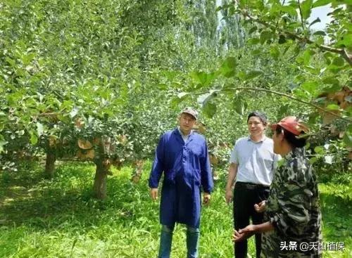 简易水肥一体化施肥，果树追肥的新方法