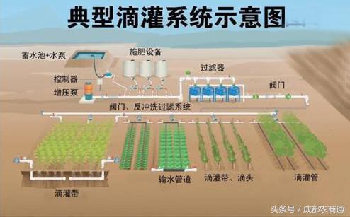 水肥一体化！你真的懂怎么用？