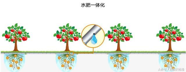 水肥一体化！你真的懂怎么用？