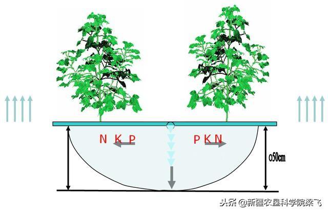 滴灌水肥一体化特征与系统简介