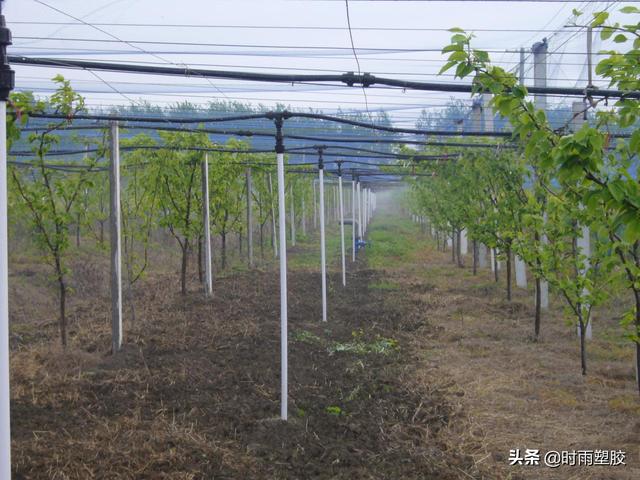 LDPE管材，节水灌溉产行业的中流砥柱