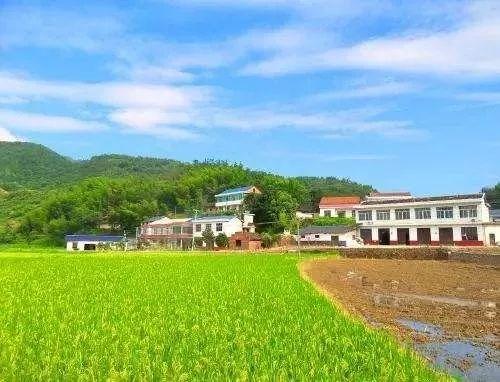 快来看！2019下半年农业12项补贴汇总，全都告诉你