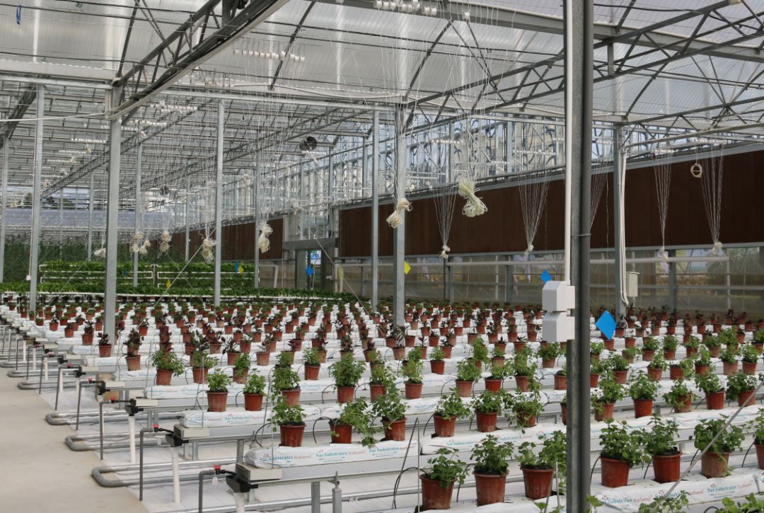 水肥一体化智能灌溉使用注意事项