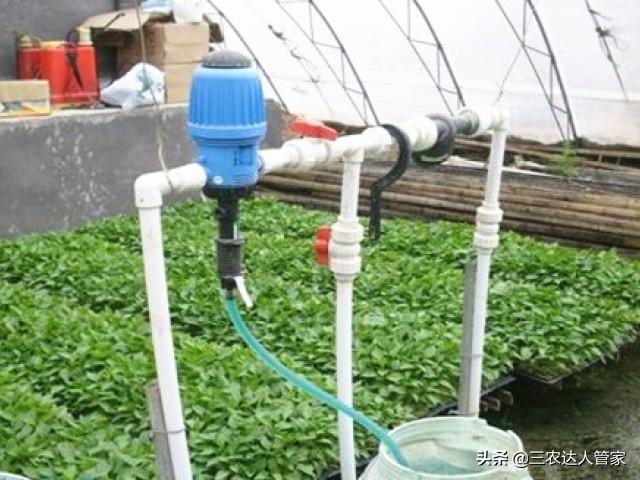 水肥一体化中，必不可缺少的“磷肥”！一定要这么选