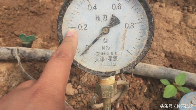 十个滴灌九个崩，农艺师教你科学用好滴灌技术，保证浇地不出错！