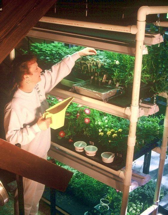 PVC管养花可以种满草莓？看看老园丁怎么做的